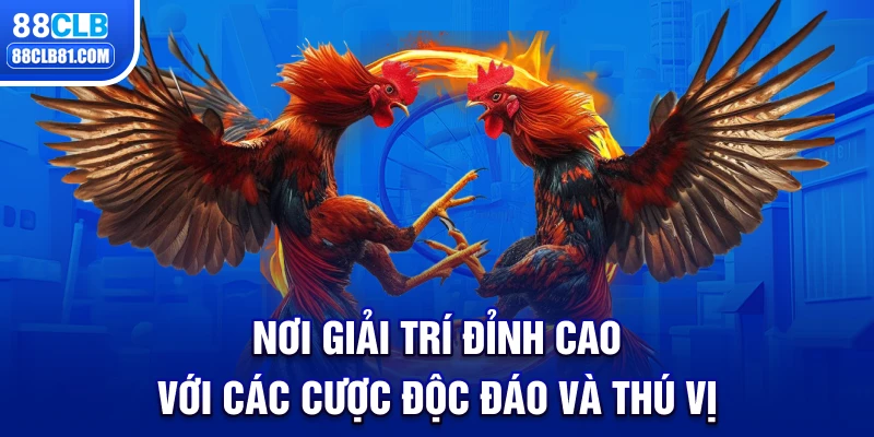 Nơi Giải Trí Đỉnh Cao Với Cá Cược Độc Đáo và Thú Vị