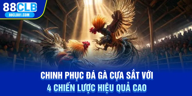 Đá gà cựa sắt