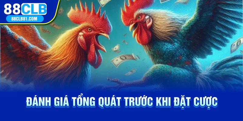 Đánh giá tổng quát trước khi đặt cược