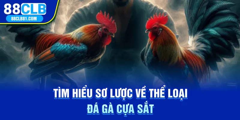 Tìm hiểu sơ lược về thể loại đá gà cựa sắt