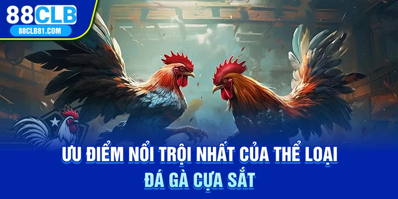 Ưu điểm nổi trội nhất của thể loại đá gà cựa sắt